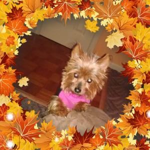 Meet your Posher, Rick